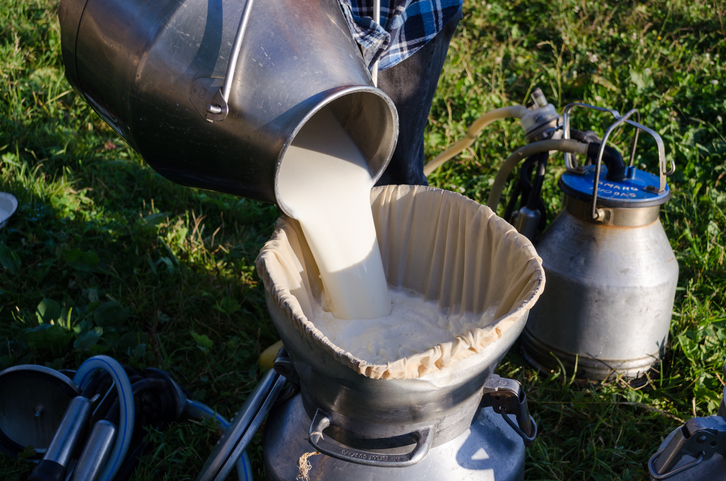 Rauwe melk