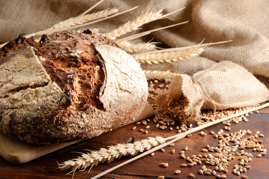 Brood