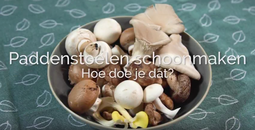 Paddenstoelen schoonmaken