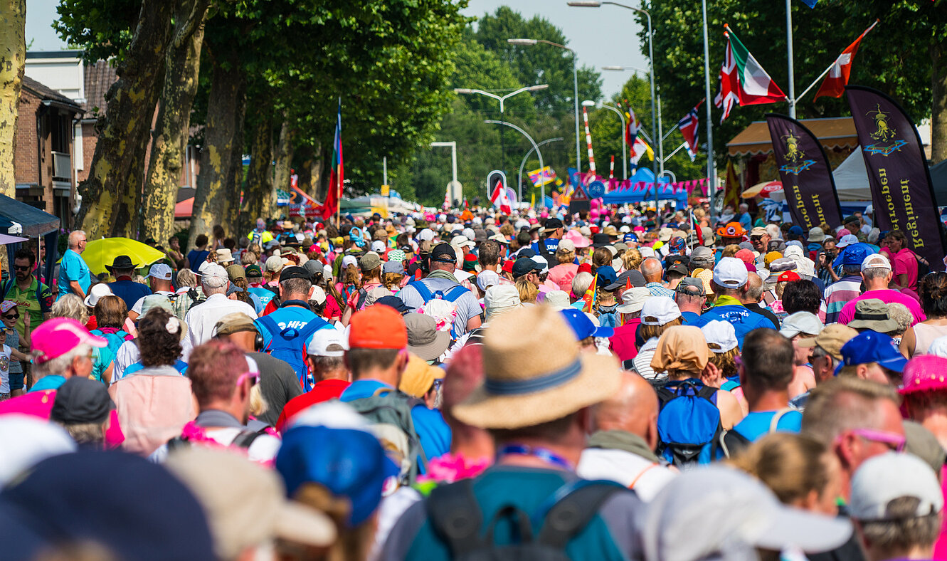 vierdaagse wandelaars