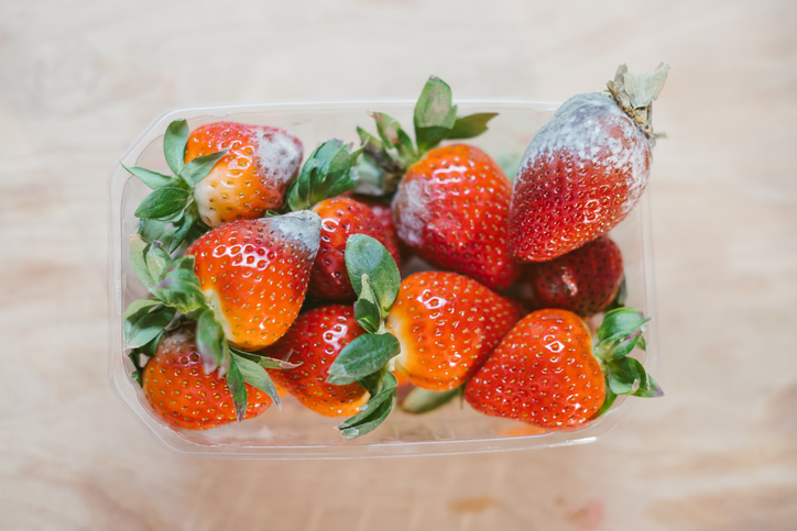 beschimmelde aardbeien