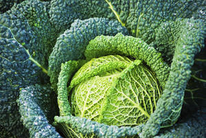 Groene kool