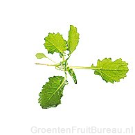 Raapstelen