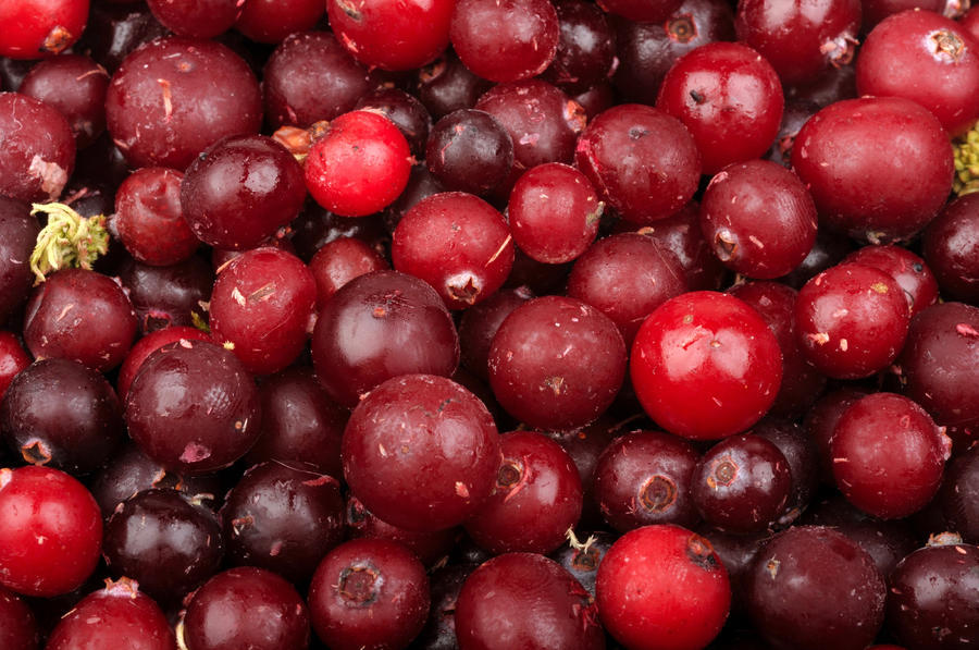 Waar of Niet waar: Cranberry’s groeien alleen in Amerika