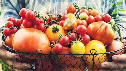 Grote schaal met verschillende soorten tomaten