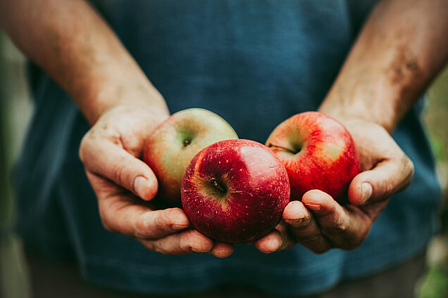 appels in handen
