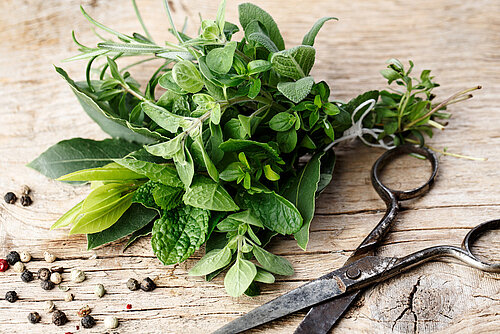 Verse kruiden Verse kruiden