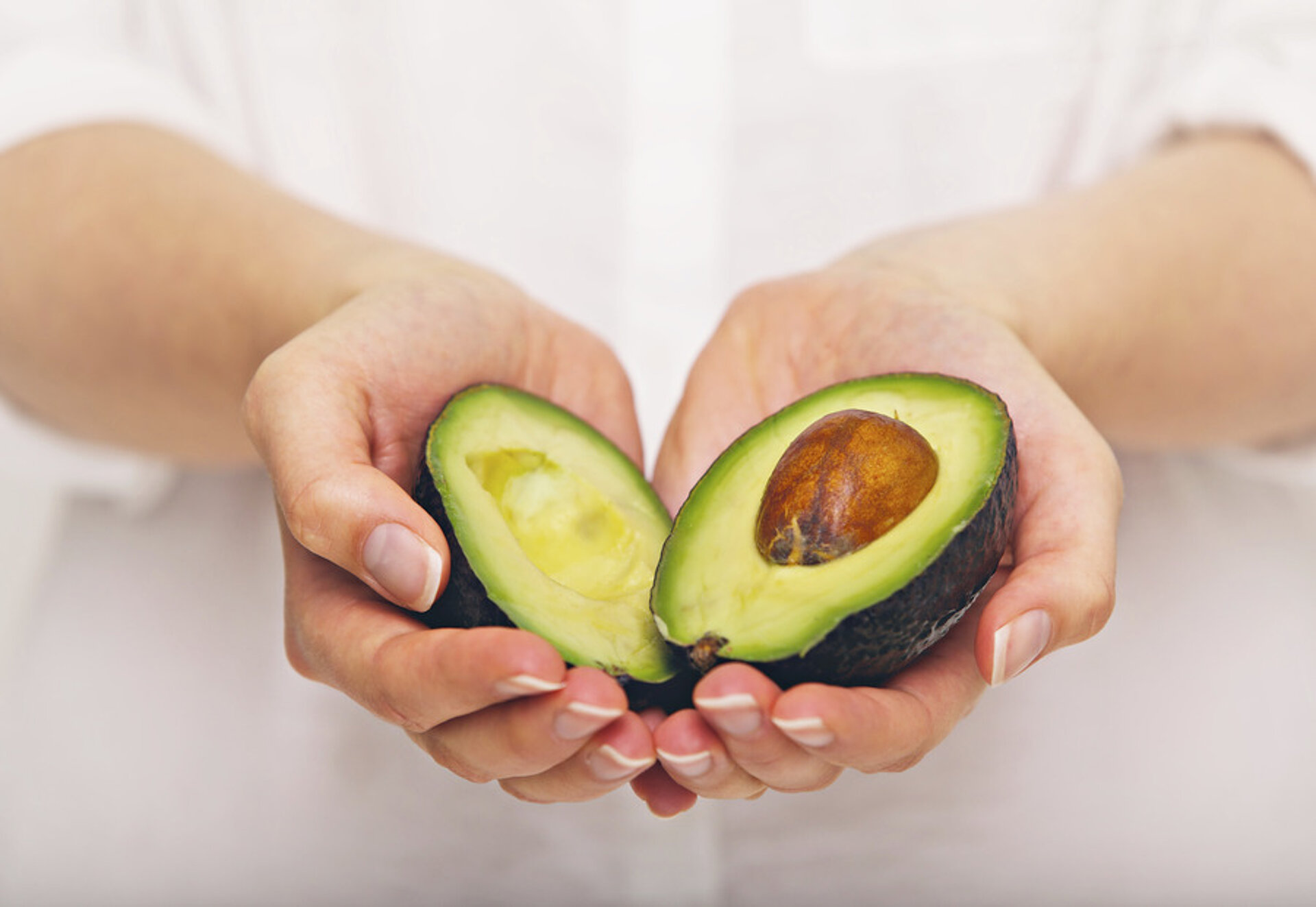 Avocado Avocado