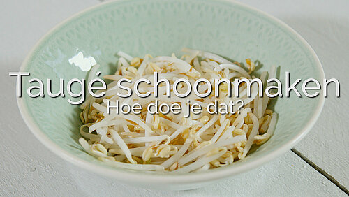 tauge in schaal