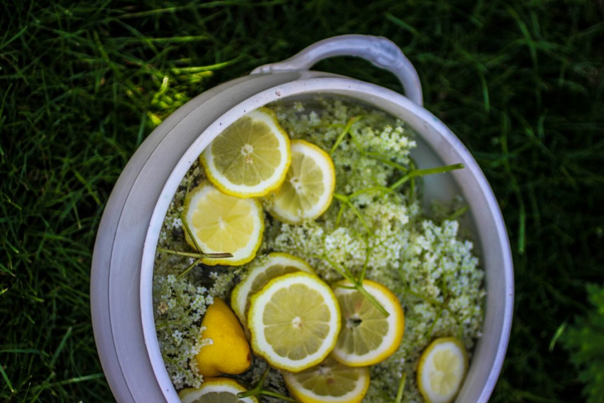 Vlierbloesemlimonade Vliesbloesemlimonade