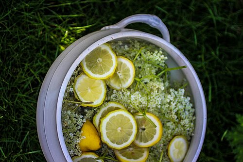 Vliesbloesemlimonade