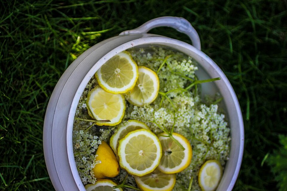 Vliesbloesemlimonade