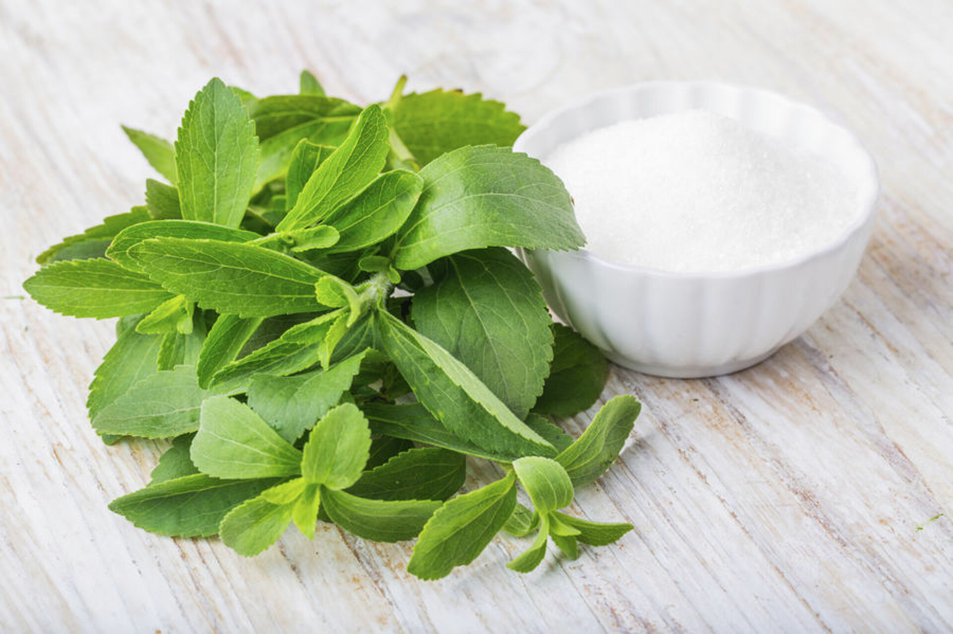 Is Stevia echt puur natuur? Is Stevia echt puur natuur?