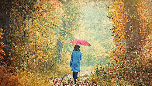 Vrouw wandelt in herfstbos in de regen met paraplu