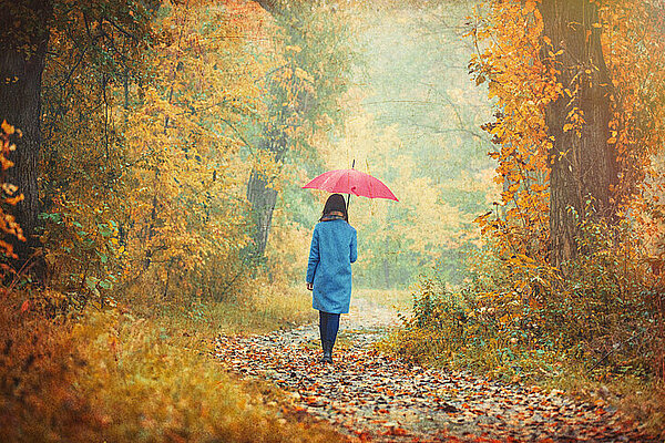 Vrouw wandelt in herfstbos in de regen met paraplu