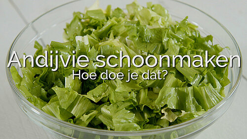 Hoe maak je andijvie schoon? Andijvie schoonmaken