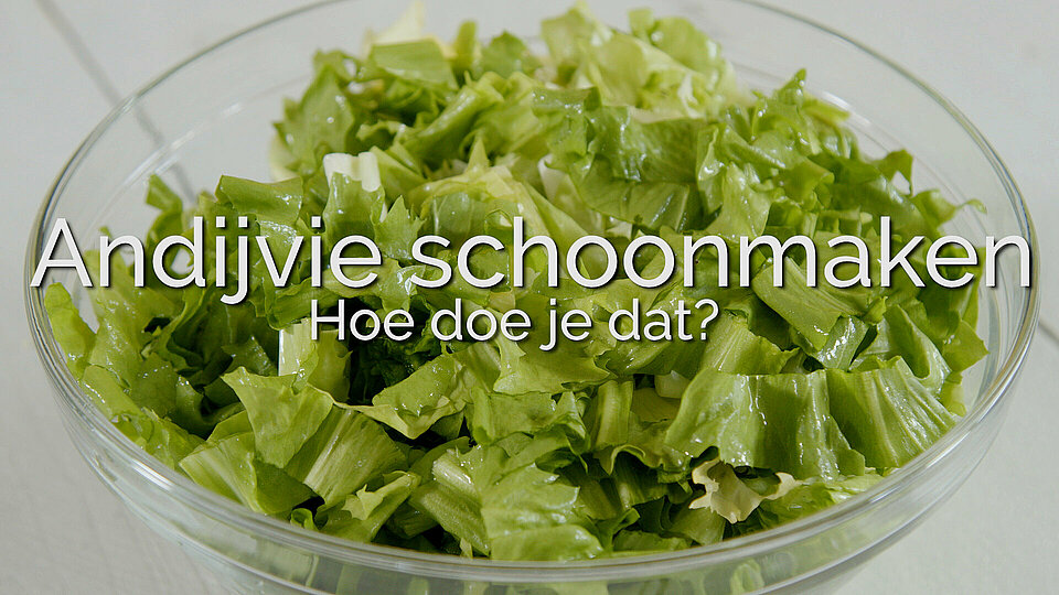 Andijvie schoonmaken