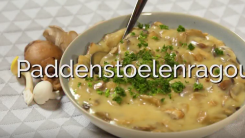 Paddenstoelenragout Paddenstoelenragout