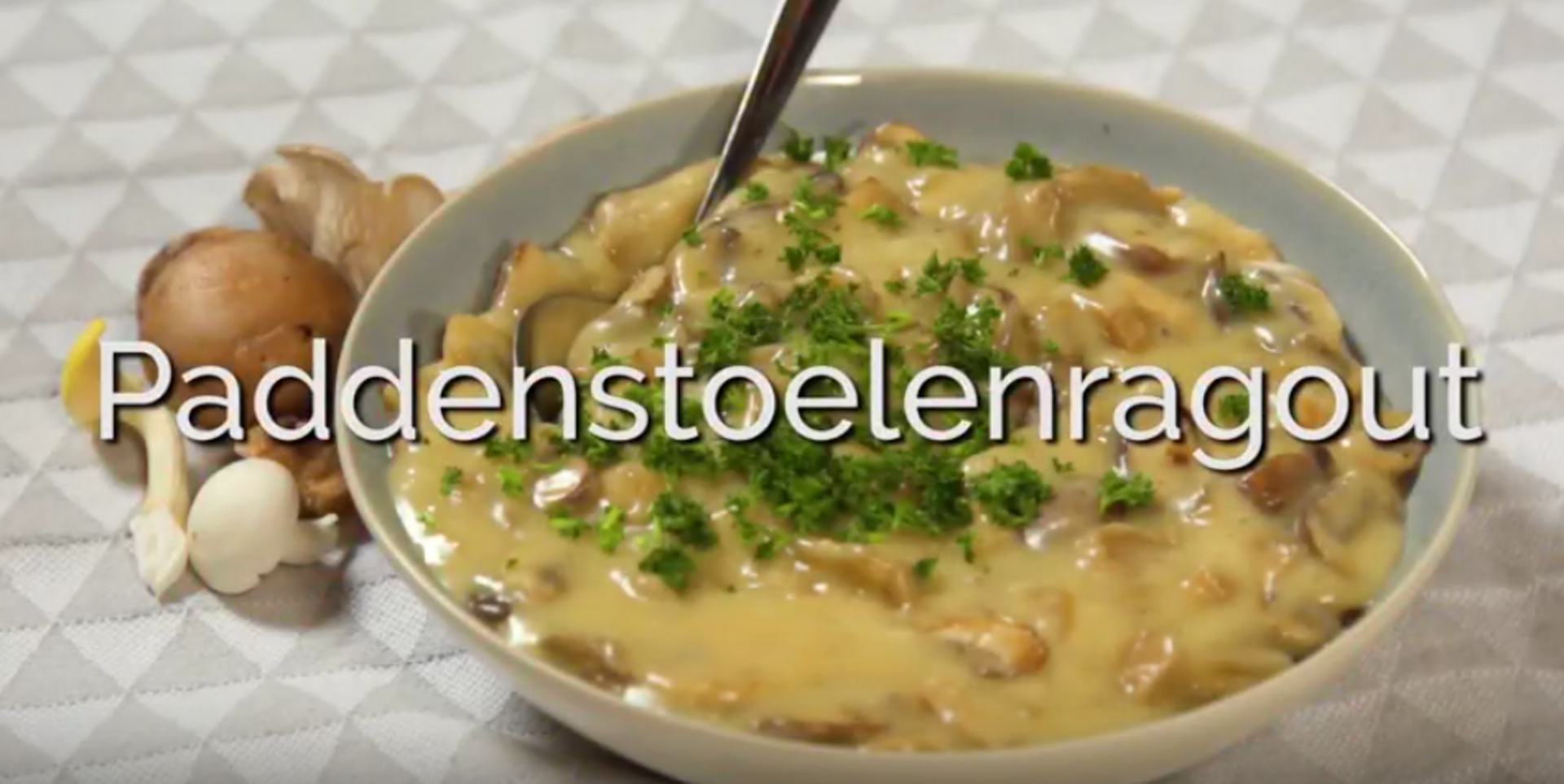 Paddenstoelenragout