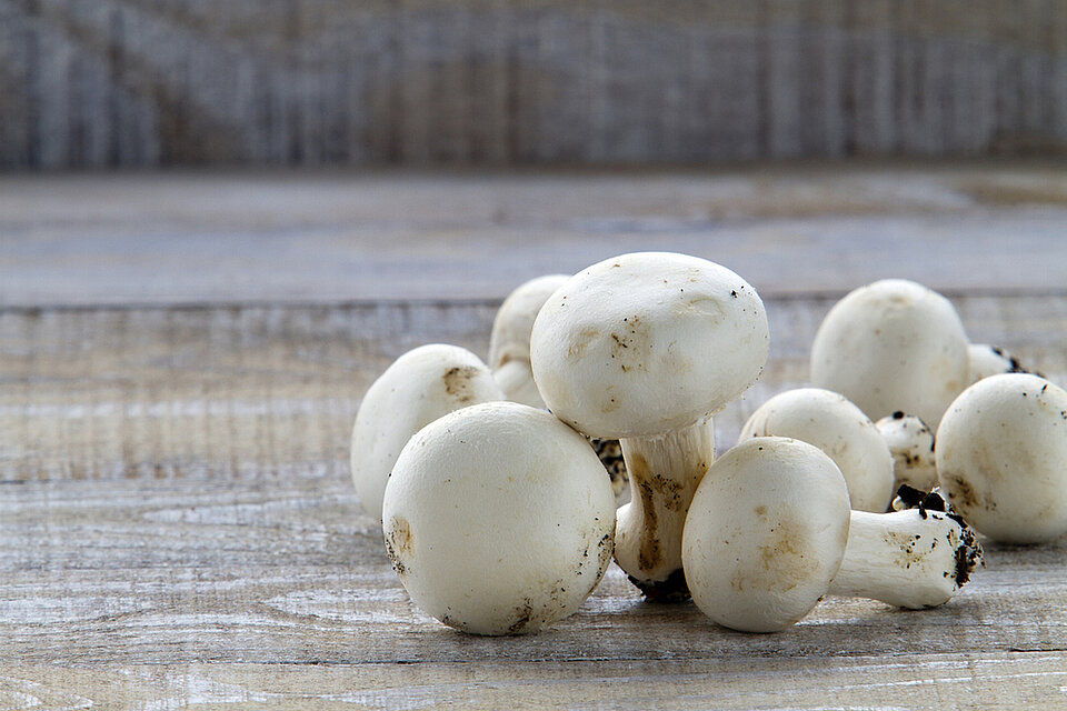Champignons worden na een tijdje een beetje bruin. Hoe komt dit? 
