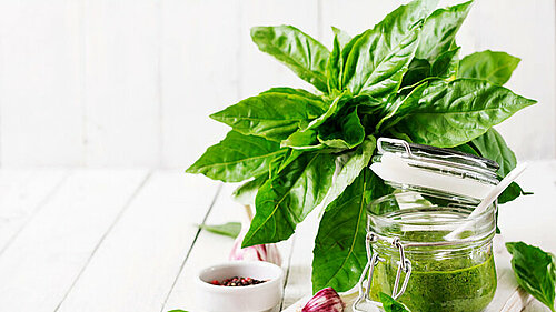 Pesto Pesto