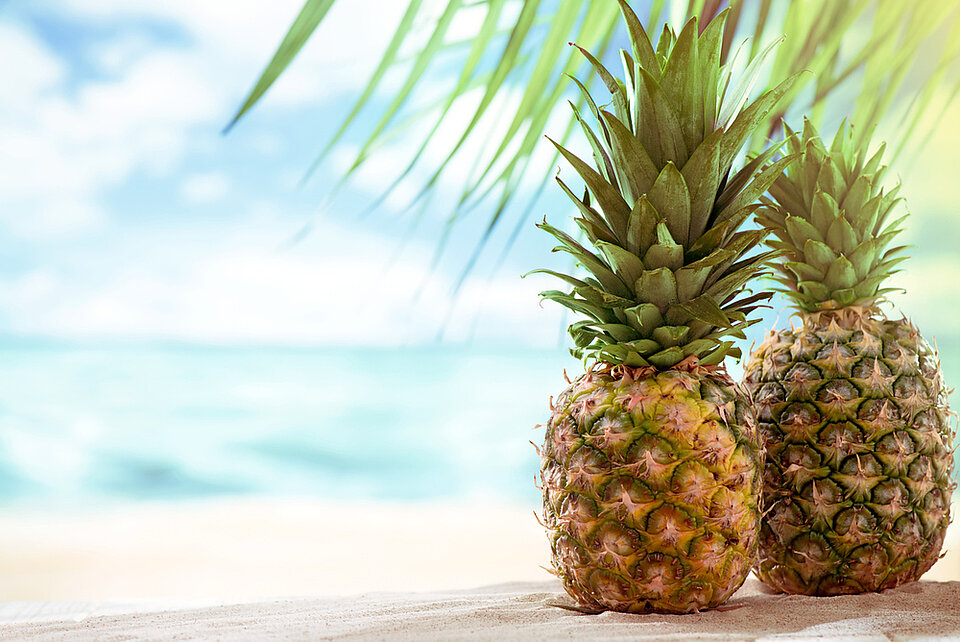 Ananas