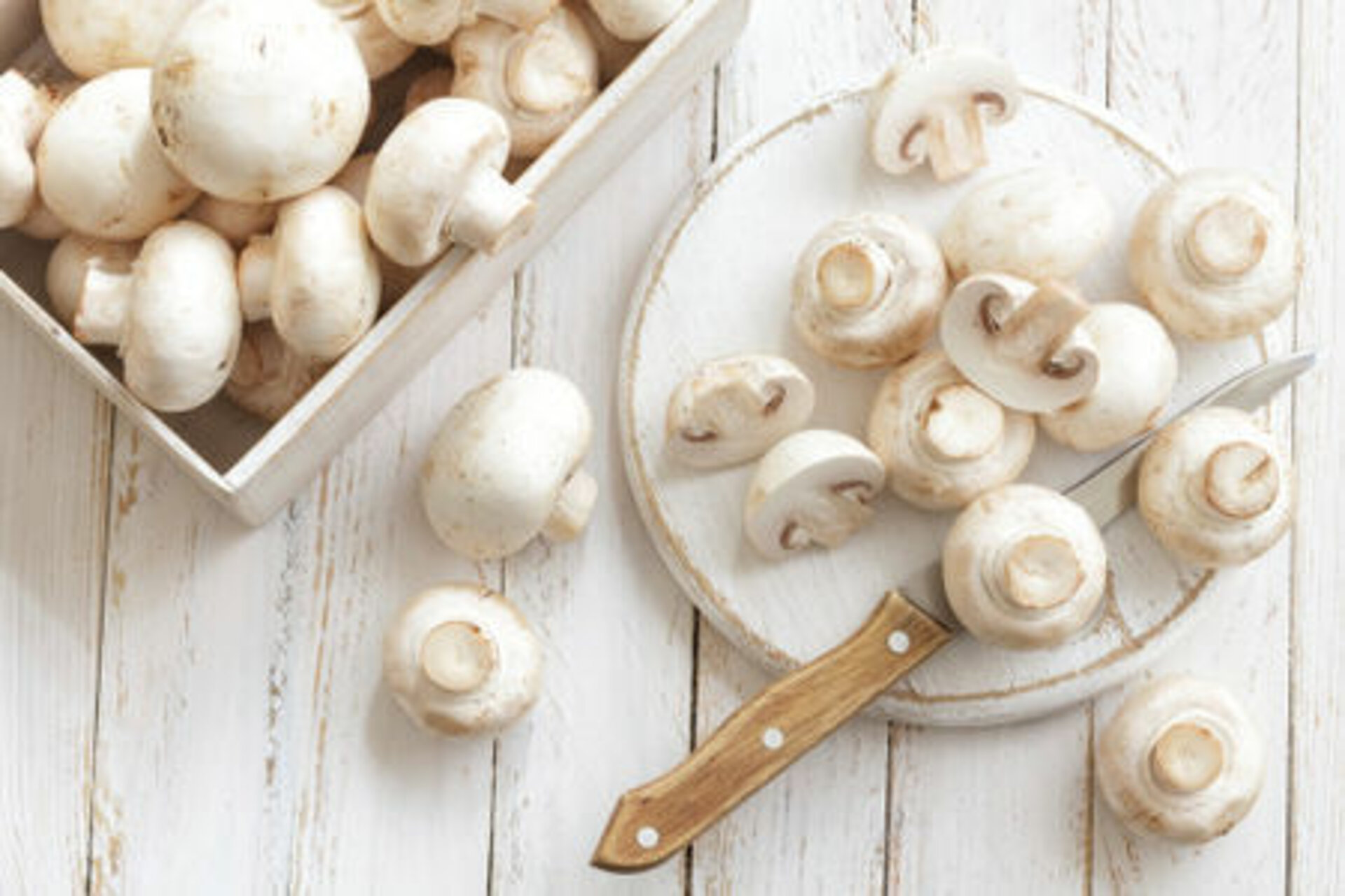 Champignons