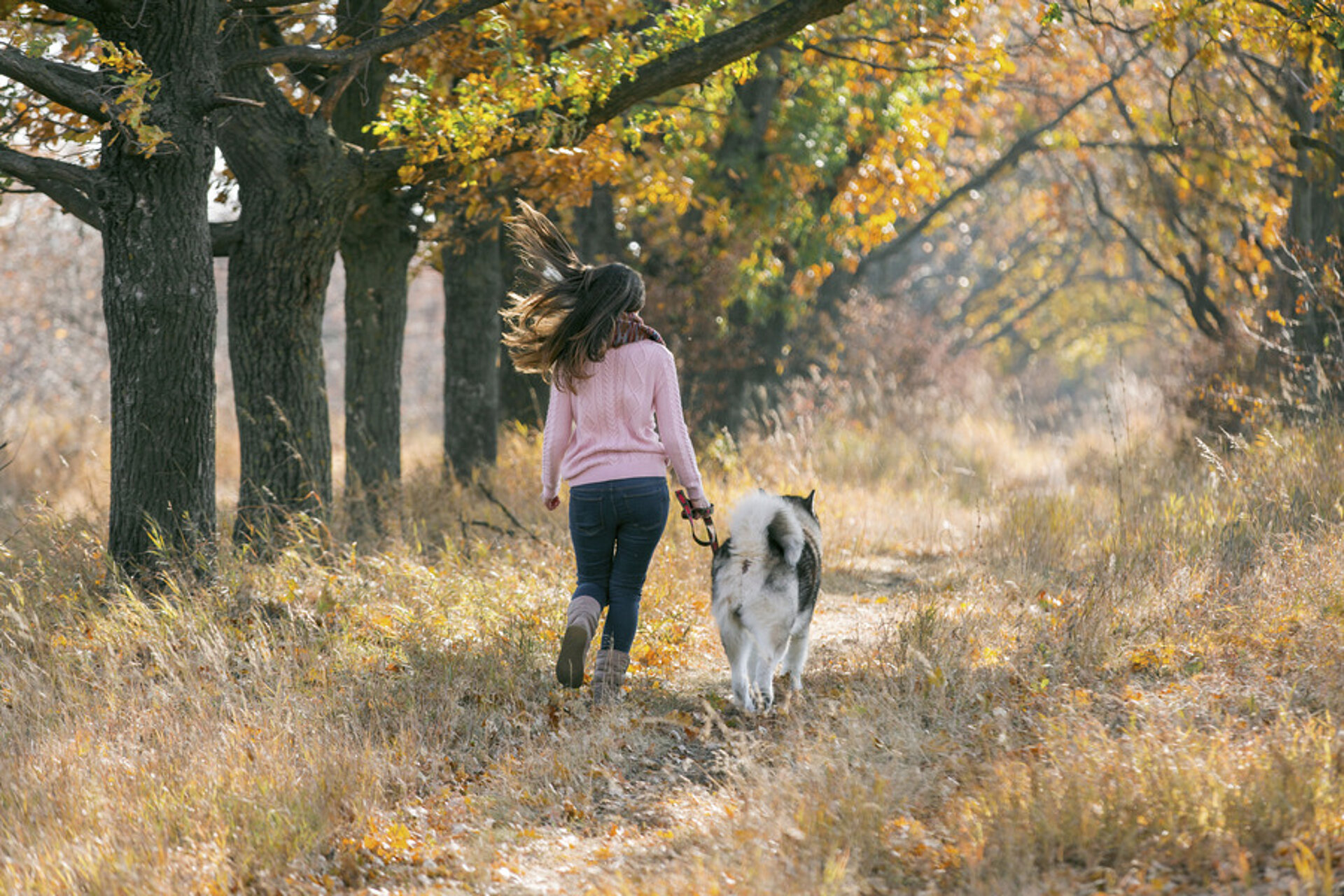 Vrouw wandelt met hond in herfstbos