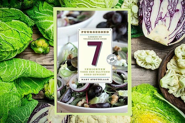 cover boek 7 inzichten