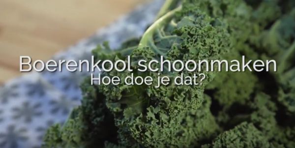 Boerenkool schoonmaken