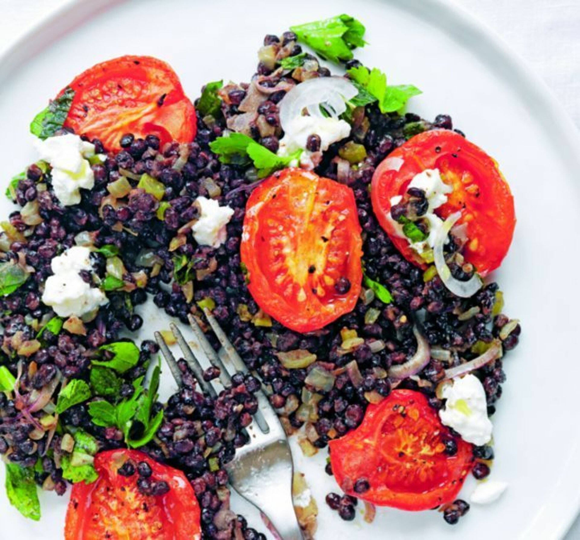 Zwarte beluga linzen salade