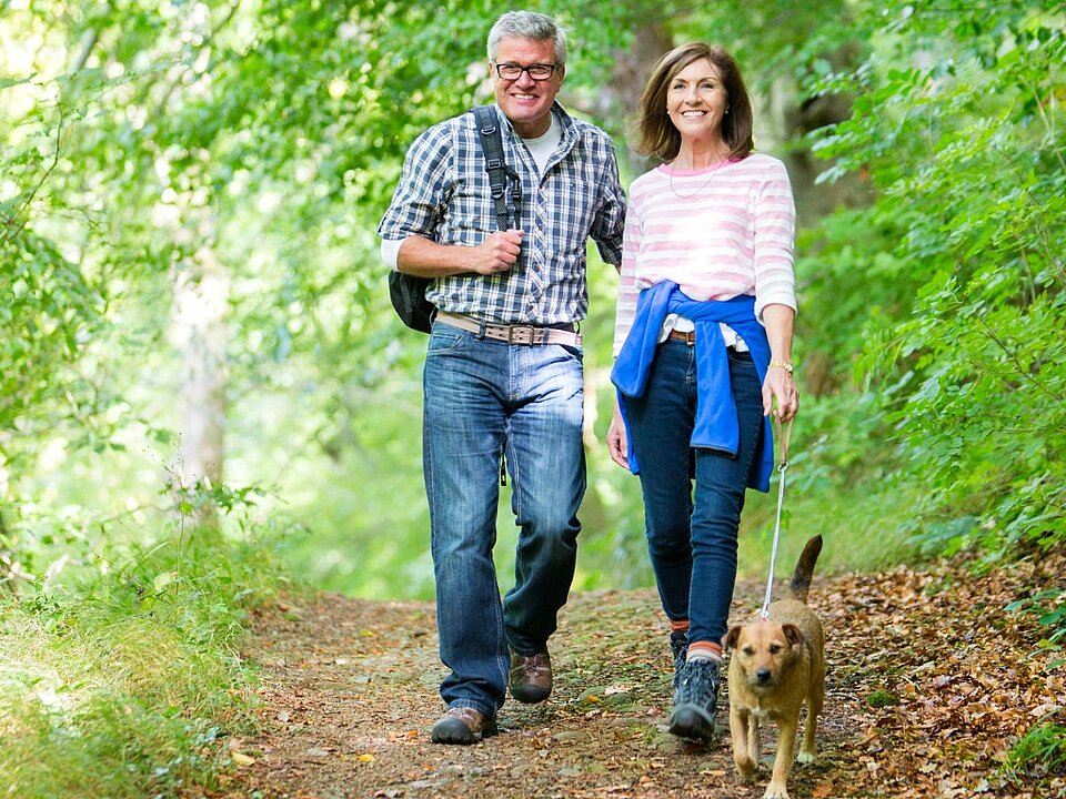 is een half uur per dagen wandelen voldoende?