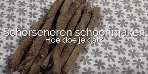 Schorseneren schoonmaken Schorseneren schoonmaken