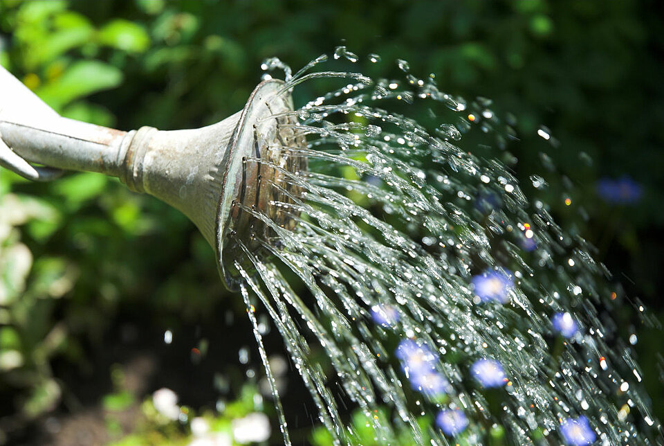 Water geven moestuin