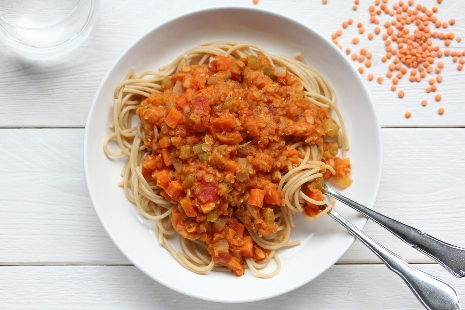 Vega bolognesesaus