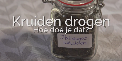 Kruiden drogen