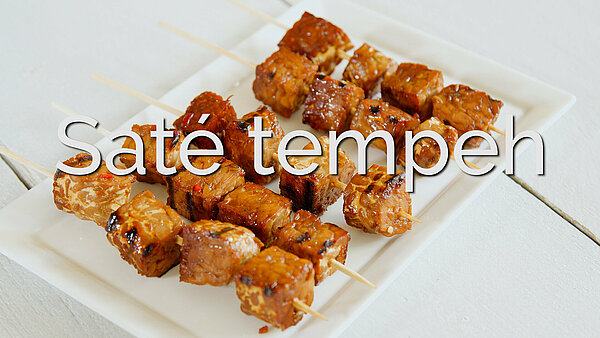 tempehsat