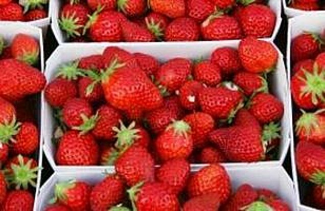 aardbeien in doosjes