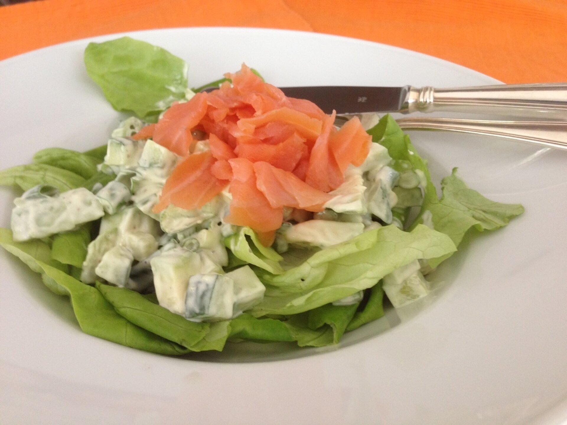 avocado-komkommersalade met zalm avocado-komkommersalade met zalm