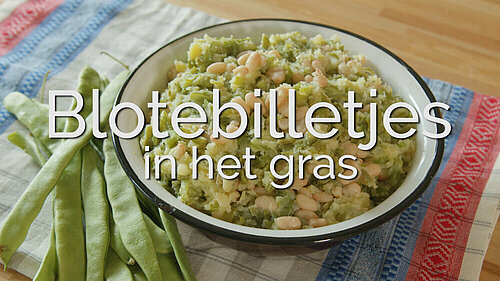 Blote billetjes in het gras