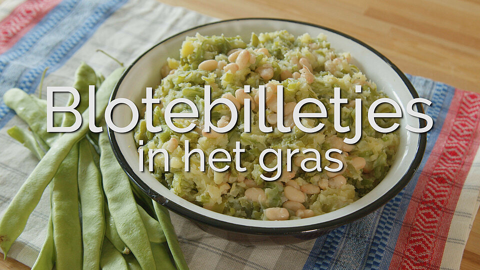 Blote billetjes in het gras