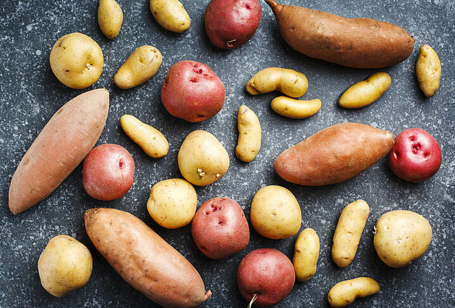 wat is het verschil tussen gewone en zoete aardappelen varieteit aan soorten aardappelen, gewone en zoete