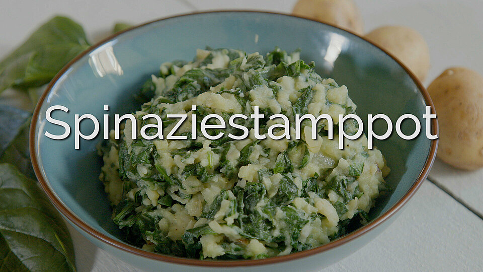 spinaziestamppot