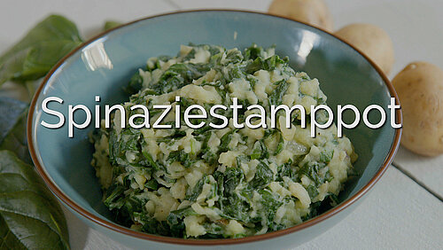 spinaziestamppot