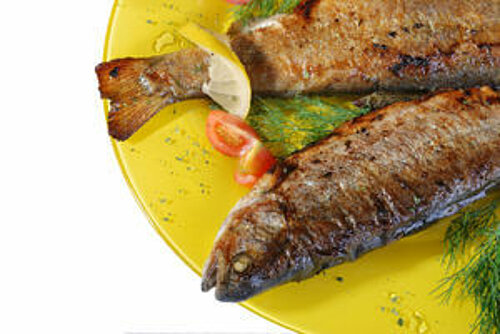 Pittige forel uit de oven