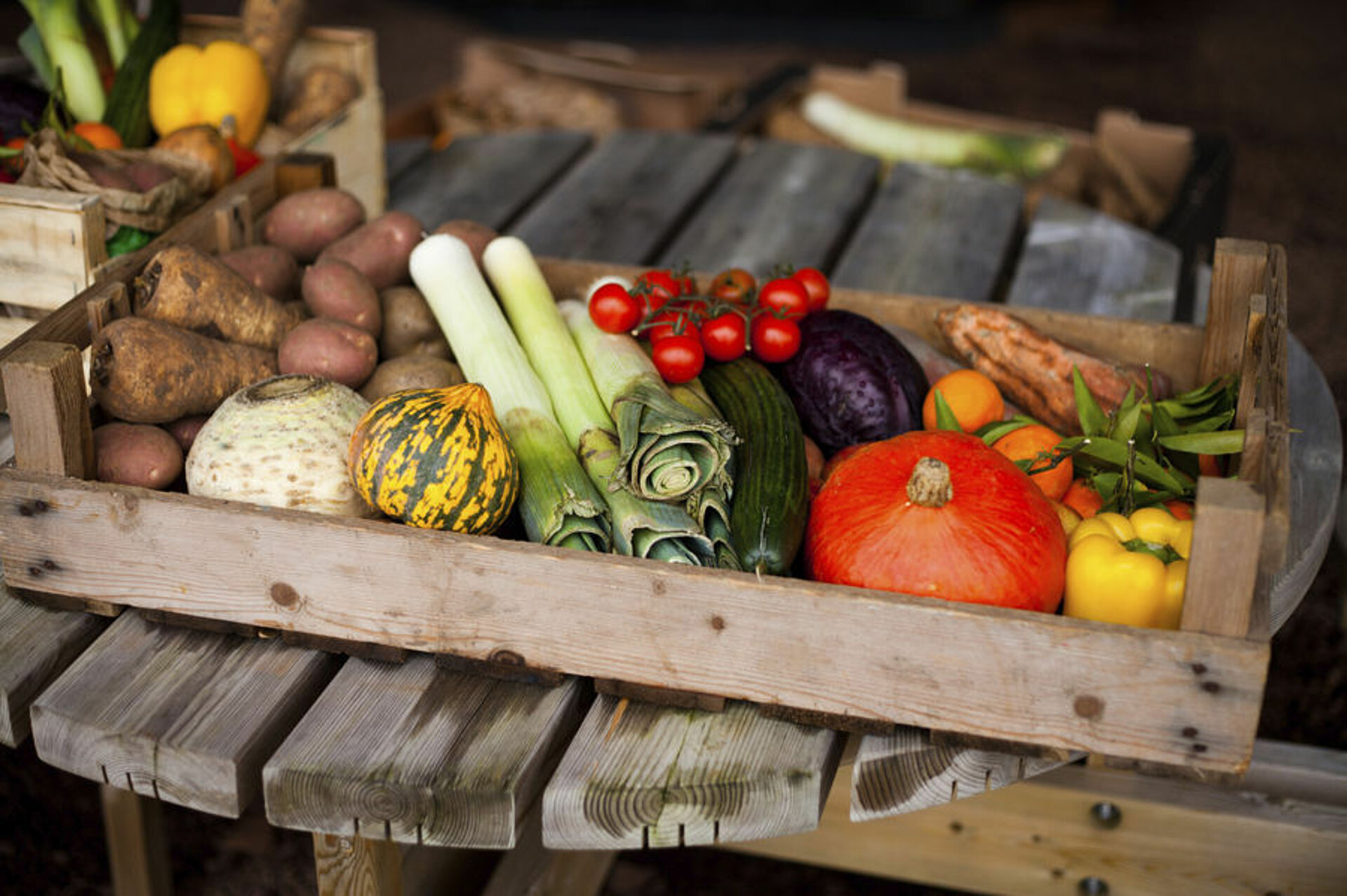 Is het milieuvriendelijker om voor Nederlands(e) groenten en fruit te kiezen? Is het milieuvriendelijker om voor Nederlands(e) groenten en fruit te kiezen?