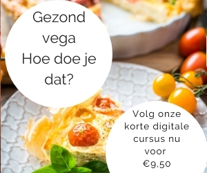 hoe eet je gezond vega