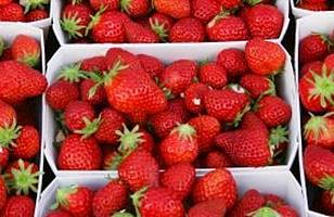 Waar of Niet waar: Aardbeien hoef je niet te wassen